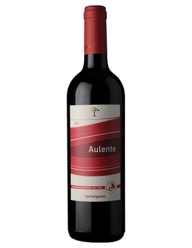 Sangiovese di Romagna Aulente IGT Emilia-Romagna San Patrignano 2019 75 cl.